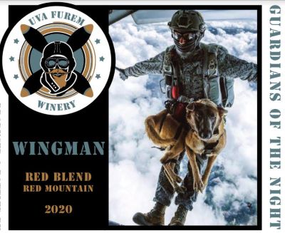 Product Image for 2020 Wingman 